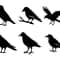 Crow SVG Bundle 1 2