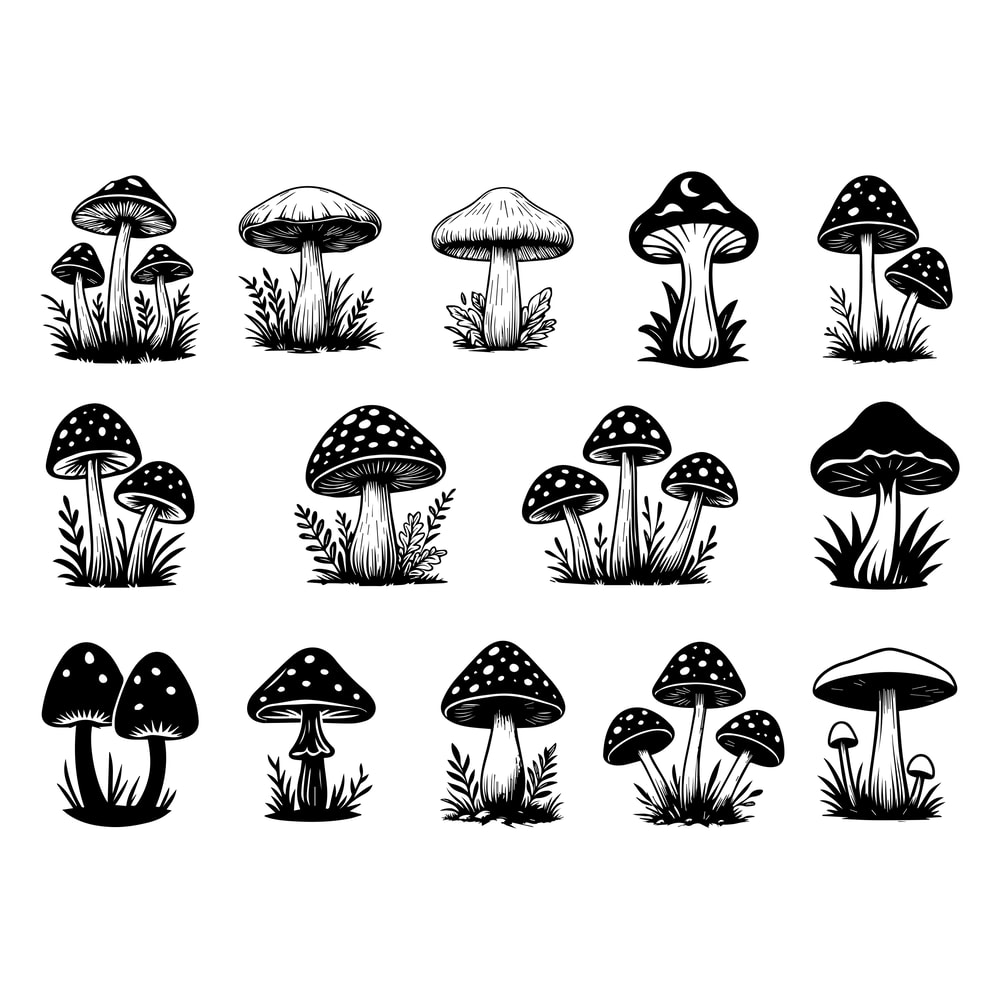 Mushroom SVG Bundle 1 1