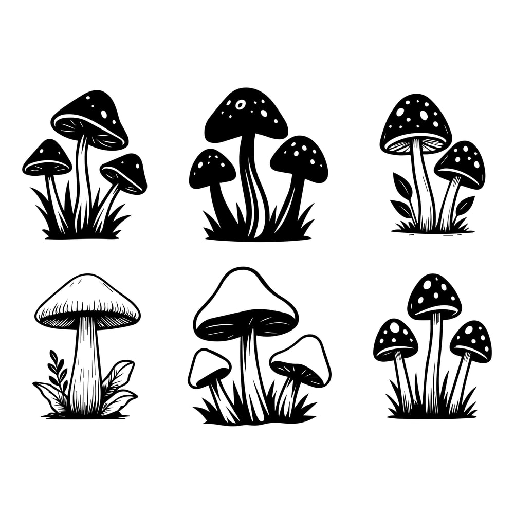 Mushroom SVG Bundle 1 2