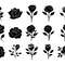 Rose SVG Bundle 1 1