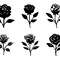 Rose SVG Bundle 1 2