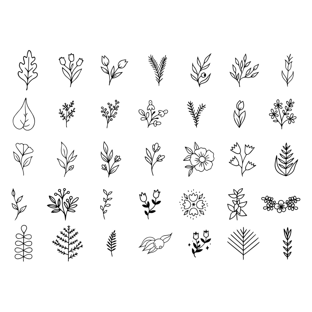 Floral Element SVG Bundle 1 1