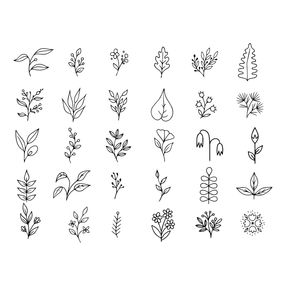 Floral Element SVG Bundle 1 2