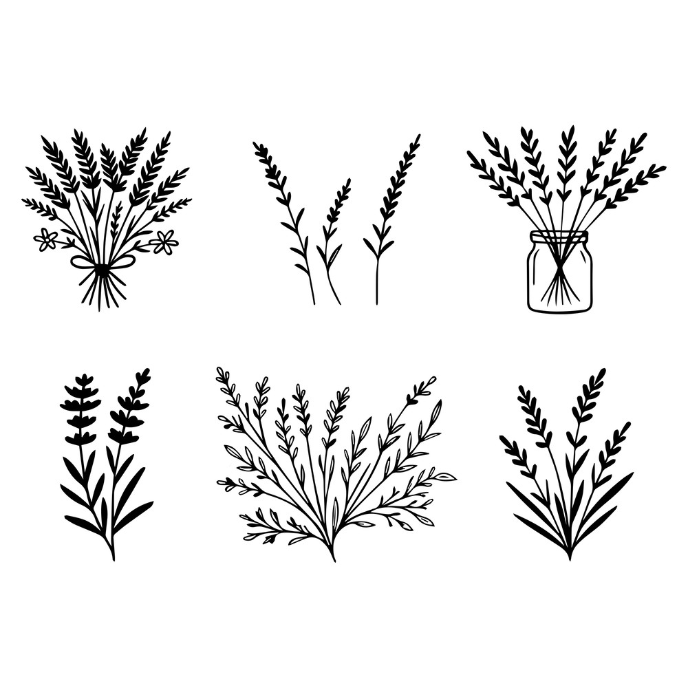 Lavender SVG Bundle 2