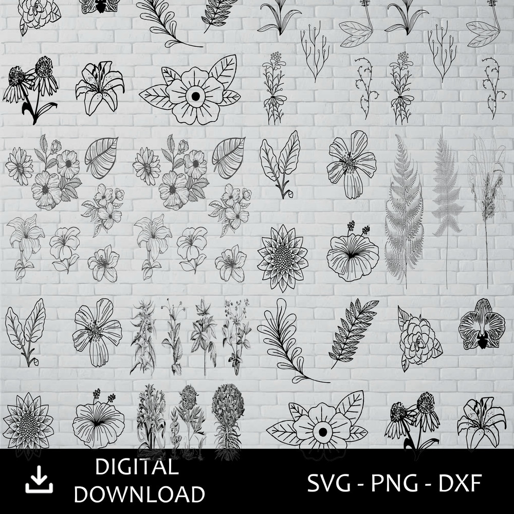 Minimalist Floral Illustration SVG Bundle  Elegant Botanical Line Art For Cricut  Sublimation 0
