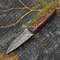 Hand Forged Damascus Steel Bushcraft Knife With Leather Sheath Fixed Blade Skinner Knife 1