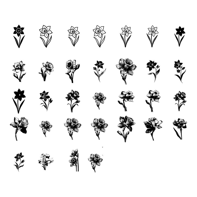 Daffodil Flower SVG Bundle 2