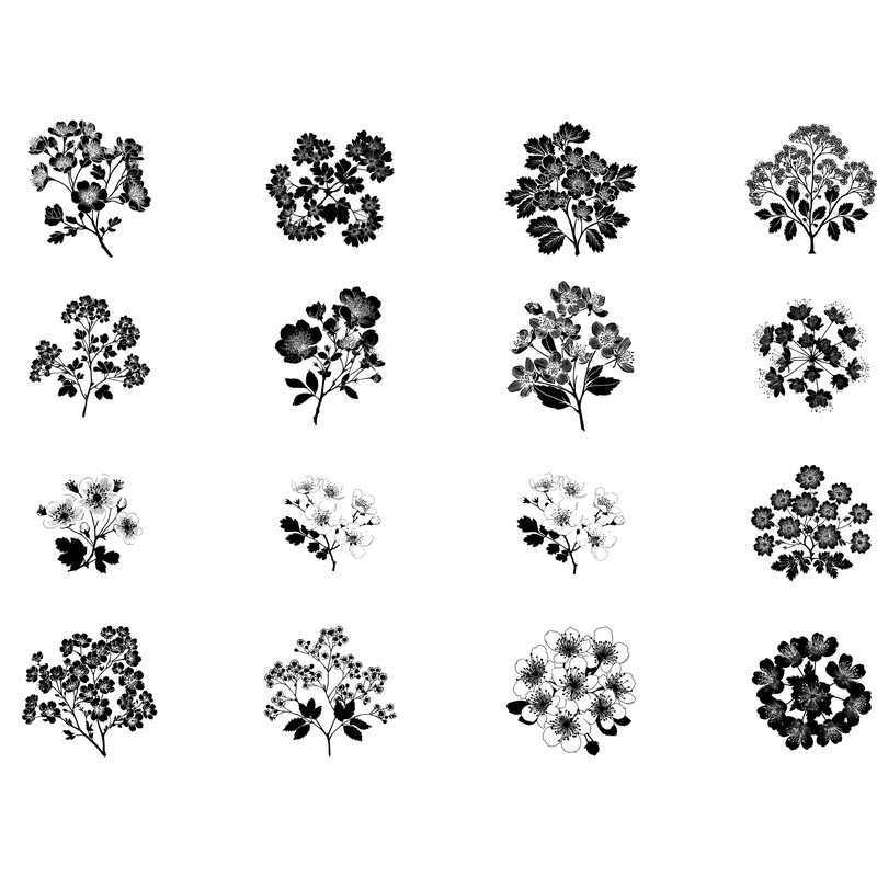 Hawthorn Flower Silhouette Bundle 1