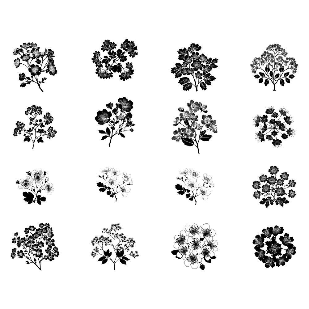 Hawthorn Flower Silhouette Bundle 2
