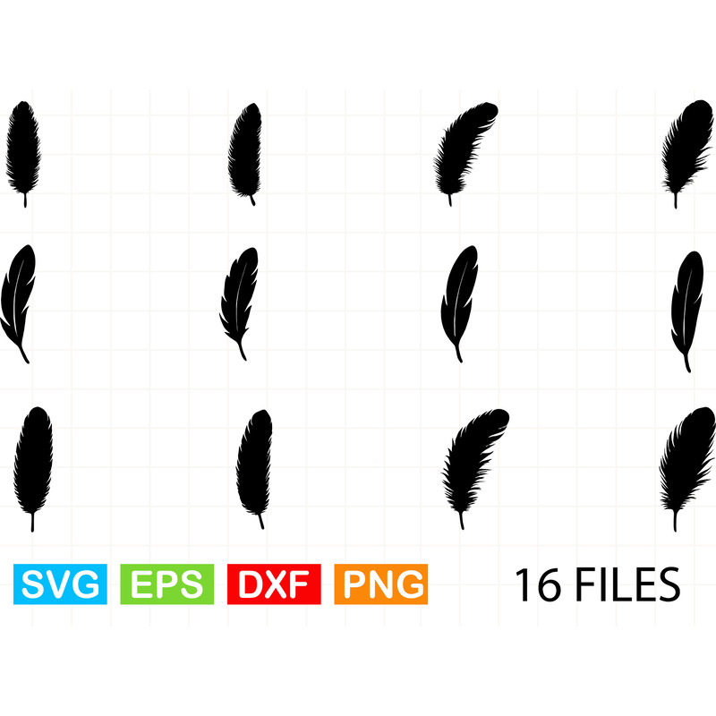 Bird Different Types Feather Silhouettes 0