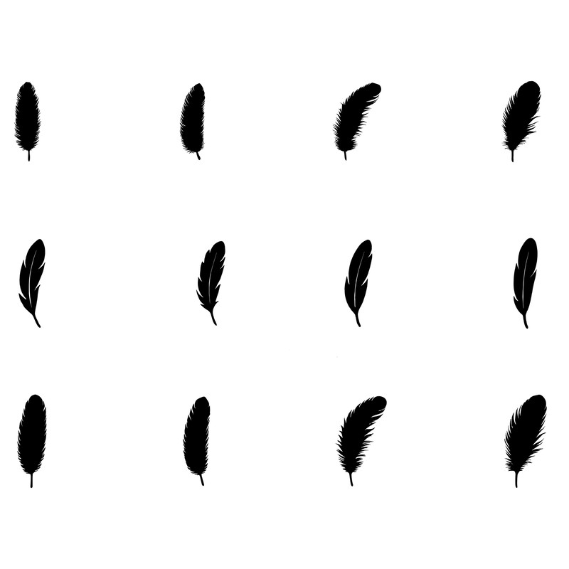 Bird Different Types Feather Silhouettes 1
