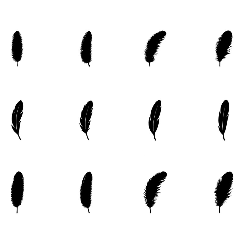 Bird Different Types Feather Silhouettes 2