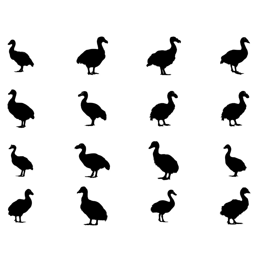 Dodo Silhouette SVG Bundle 1
