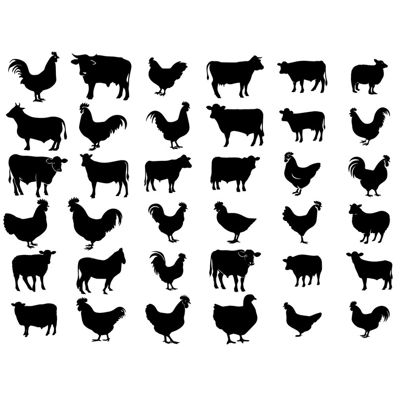 Farm Animals SVG Bundle 1