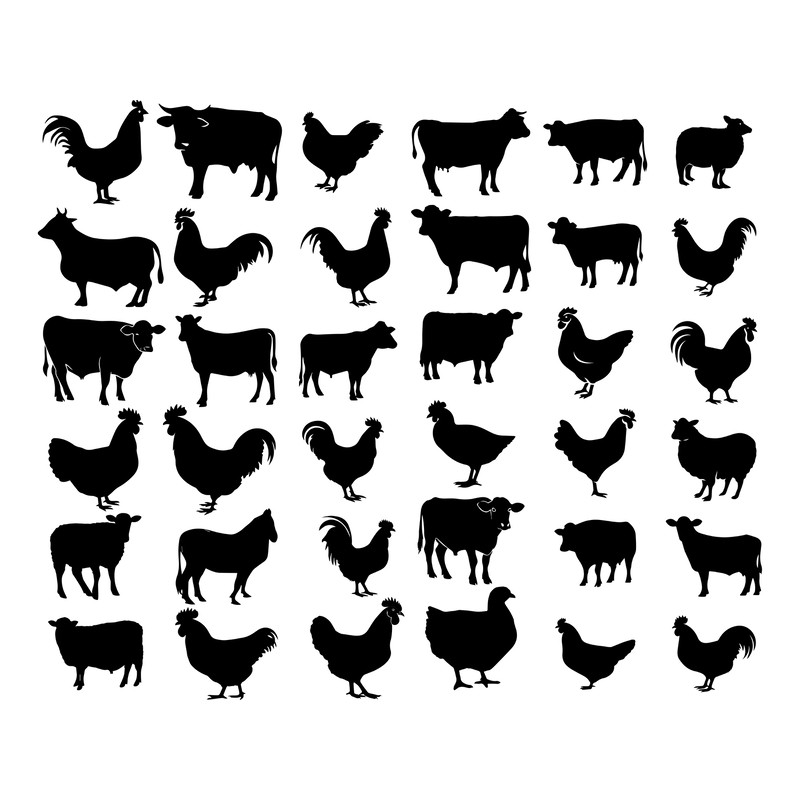 Farm Animals SVG Bundle 2