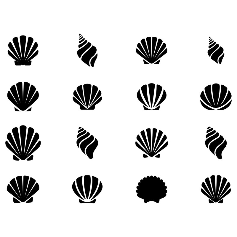 Sea Shell Svg Bundle 1