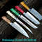 Professional D2 steel chef knife set