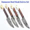 Handcrafted Premium 4Piece Damascus Steel Steak Knives Set Steak Knife Gift Set 0