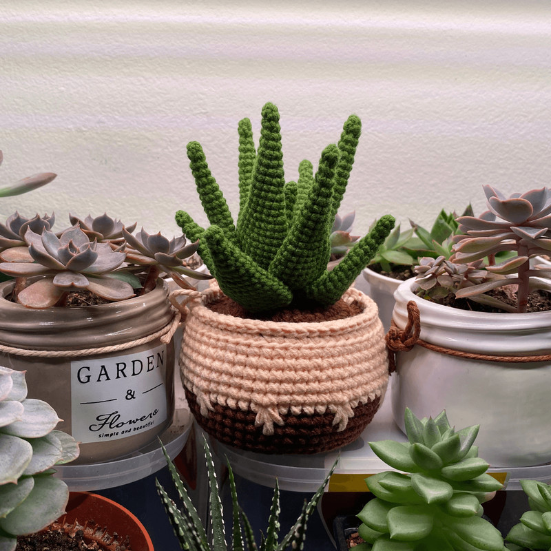 Potted Flower Crochet PDF Crochet Succulent Pot Plant Pattern Amigurumi Succulent DIY Flowered Cro 2