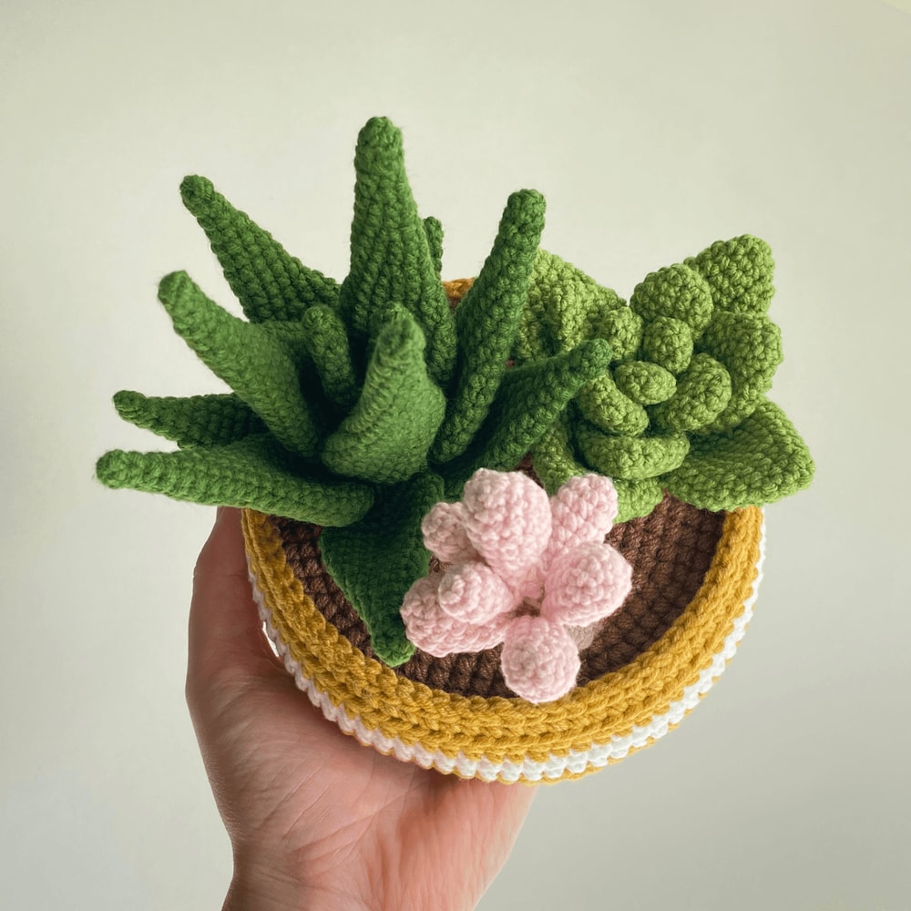 Potted Flower Crochet PDF Crochet Succulents Pot Plant Pattern Amigurumi Succulent DIY Flower Succ 2