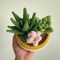 Potted Flower Crochet PDF Crochet Succulents Pot Plant Pattern Amigurumi Succulent DIY Flower Succ 2