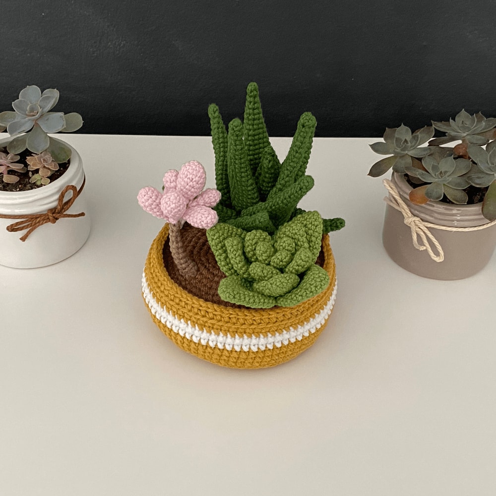 Potted Flower Crochet PDF Crochet Succulents Pot Plant Pattern Amigurumi Succulent DIY Flower Succ 3