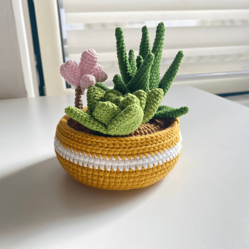 Potted Flower Crochet PDF Crochet Succulents Pot Plant Pattern Amigurumi Succulent DIY Flower Succ 4