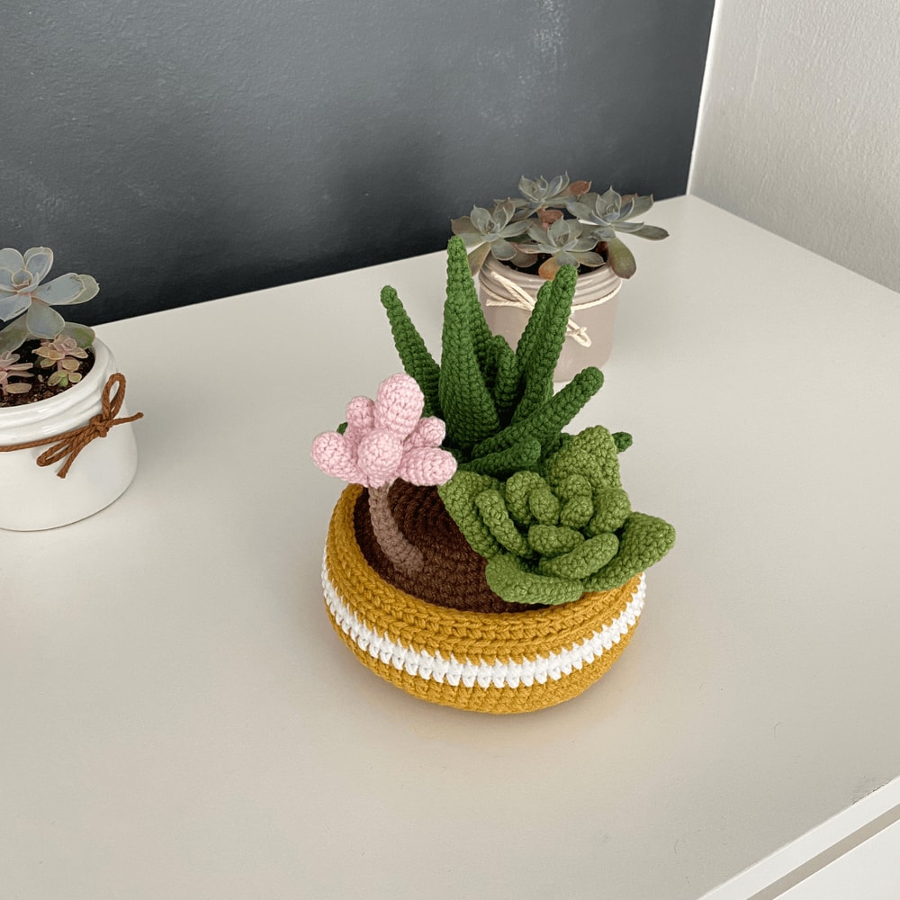 Potted Flower Crochet PDF Crochet Succulents Pot Plant Pattern Amigurumi Succulent DIY Flower Succ 5