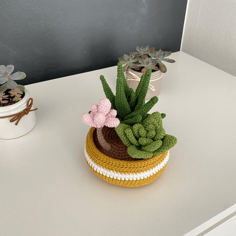 Potted Flower Crochet PDF Crochet Succulents Pot Plant Pattern Amigurumi Succulent DIY Flower Succ 5