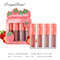 Mini Velvet Matte Lip Gloss Set, 4-Piece Non-Fading Lip Tint Kit, Long-Lasting Fruit Scented Smooth and Lightweight