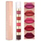 Matte Long-Lasting Waterproof Lipstick, Portable Mini Liquid Lipstick for Easy Carrying