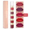 Matte Long-Lasting Waterproof Lipstick, Portable Mini Liquid Lipstick for Easy Carrying