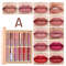Multicolor Book Lip Gloss Set, Matte Velvet Finish, Long Lasting Waterproof Lip Gloss, Non Stick Formula, Lipstick Kit