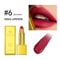 Shimmer Gold Lipstick Metallic Glitter Sexy Lipstick Long Lasting Waterproof Luxurious Gold Brick 9