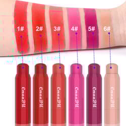 6-color blush lipstick combination matte silky multi-functional makeup stick makes it easy to remove makeup