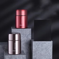 food thermos, stainless steel vacuum insulated food jar with spoon, kid lunch box with insulated carry bag for hot, cold