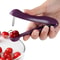Multi-Functional Pit Remover for Cherrie, Hawthorns, Red Dates, Olive, Creative Pitting Tool for Home Use, Small Kitchen