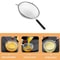 12 Inch Stainless Steel Fine Mesh Kitchen Strainer with Non-Slip Handle & Resting Hook