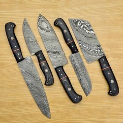 Damascus Steel Chef Knife Set Pakka Wood Handle With Leather Kit CKS-005