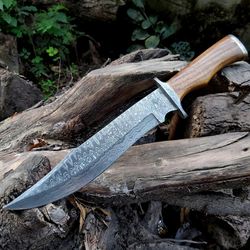 Custom Made Damascus Steel Bowie Knife With Sheath