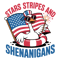 STARS STRIPES AND SHENANIGANS 0