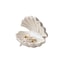 Creative Mini Ceramic Shell Jewelry Storage Tray, Elegant Necklace Display Desktop Organizer, Perfect Birthday Gift
