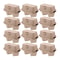 12Pcs Egg Carton, Paper Pulp Container Egg Box Storage Bulk Egg Holders, Chicken Egg Trays & Fridge Organizers for Safe