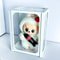 Labubu Display Box Glass Vinyl Doll Storage Case Handmade Transparent Display For Cotton Dolls Desk 6