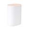 Automatic Pops Up Toothpick Box, Cotton Bud & Swabs Storage Case Organizer Toothpick Holder Dispenser Container for Home