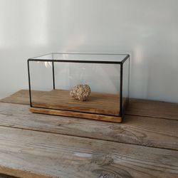 glass display with oak stand