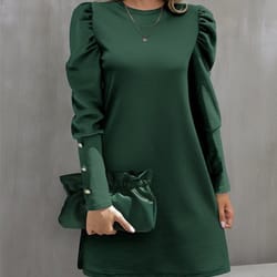 spring and autumn round neck bubble sleeve dress, button decorative long sleeve dress for women elegant daily wear