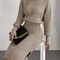 Casual Simple Turtleneck Knitted Pullover Dress Without a Belt, Autumn Winter New Fashionable Look