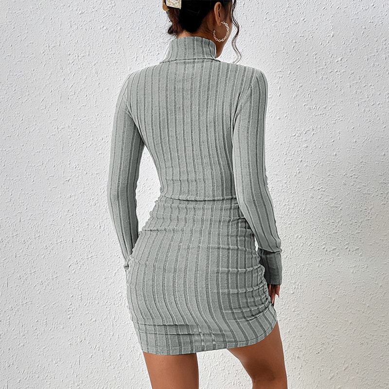 Bodycon Sheath Mini Dress for Women, Autumn Winter Knitted Dress, Long Sleeves Turtleneck Party Look