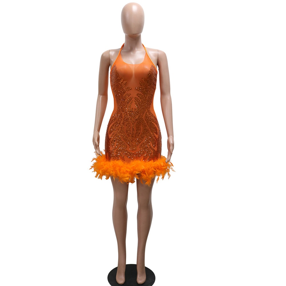 Beautiful Mesh Sequin Feather Glam Dress Luxury Woman Party Dress Glitter Sleeveless Night Out Birt 5